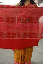 Load image into Gallery viewer, Miraa - Sambalpuri Cotton Saree
