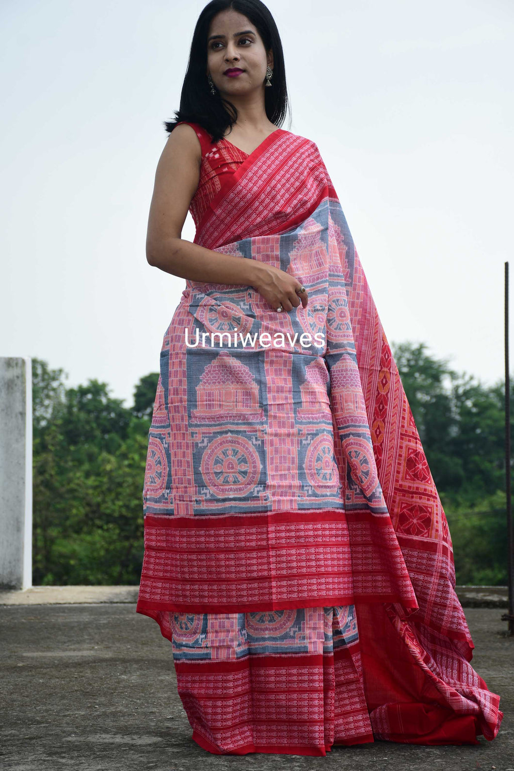 Konark Chakra Sambalpuri Cotton Saree | Urmiweaves - Pasapali