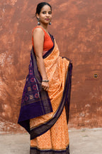 Anasuya GI certified Sambalpuri saree by Pasapali — Phula motif pallu close-up, Mercerized Cotton, Blue accent.