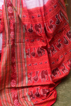 Charushila mercerized cotton texture — Sambalpuri Sachipar saree, warp-weft 120x120 thread count, Pasapali