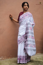 Handloom drape view of Malini white Sambalpuri saree — GI certified Sachipar in mercerized cotton from Pasapali